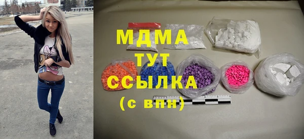 гашик Няндома