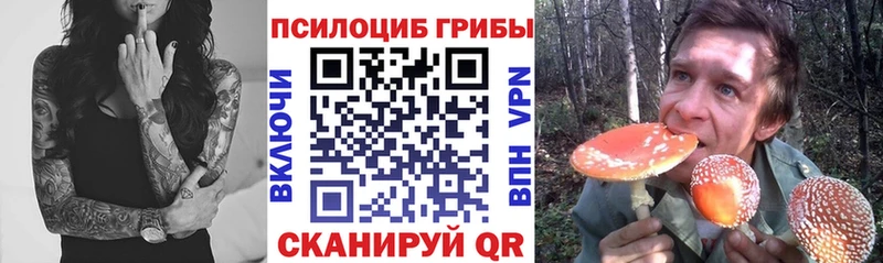 Псилоцибиновые грибы мицелий Малгобек