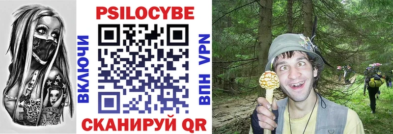Галлюциногенные грибы Cubensis  Малгобек 