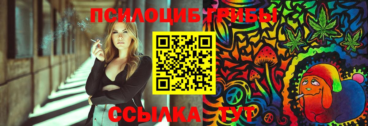 Галлюциногенные грибы MAGIC MUSHROOMS  купить наркотик  Малгобек  Вход с VPN  Псилоцибиновые грибы Cubensis 