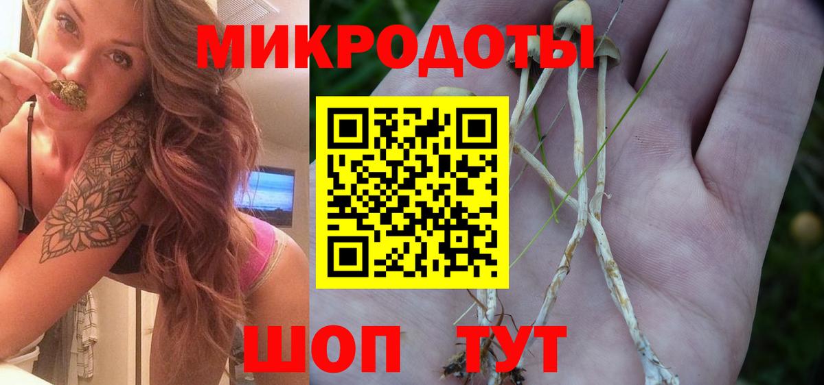 Галлюциногенные грибы Cubensis Малгобек