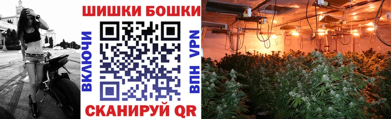 Бошки Шишки марихуана Малгобек